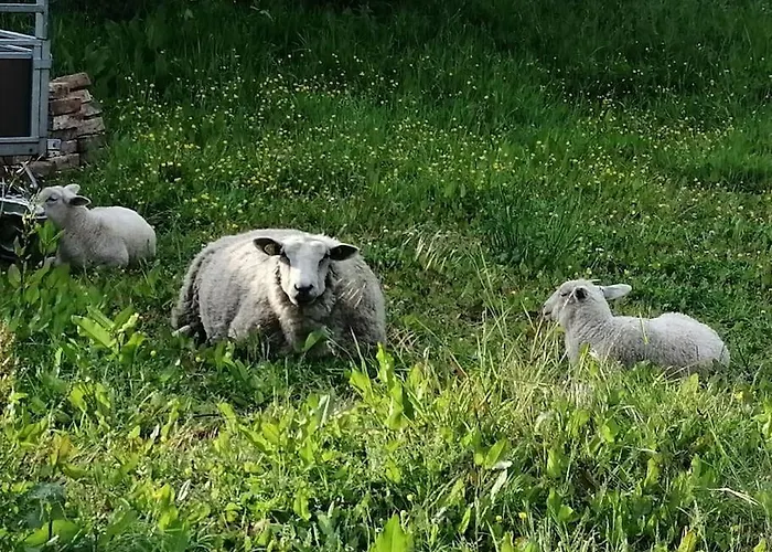 Martine A La Ferme Holiday home *